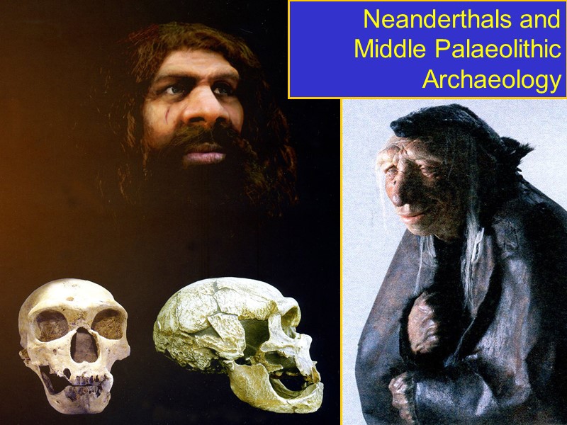 Neanderthals and Middle Palaeolithic Archaeology